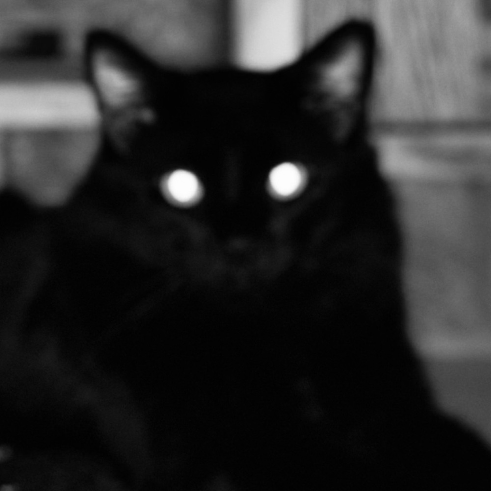 Meet your Posher, Mackenzie